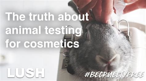 chanel lipstick animal testing|Chanel animal testing ban.